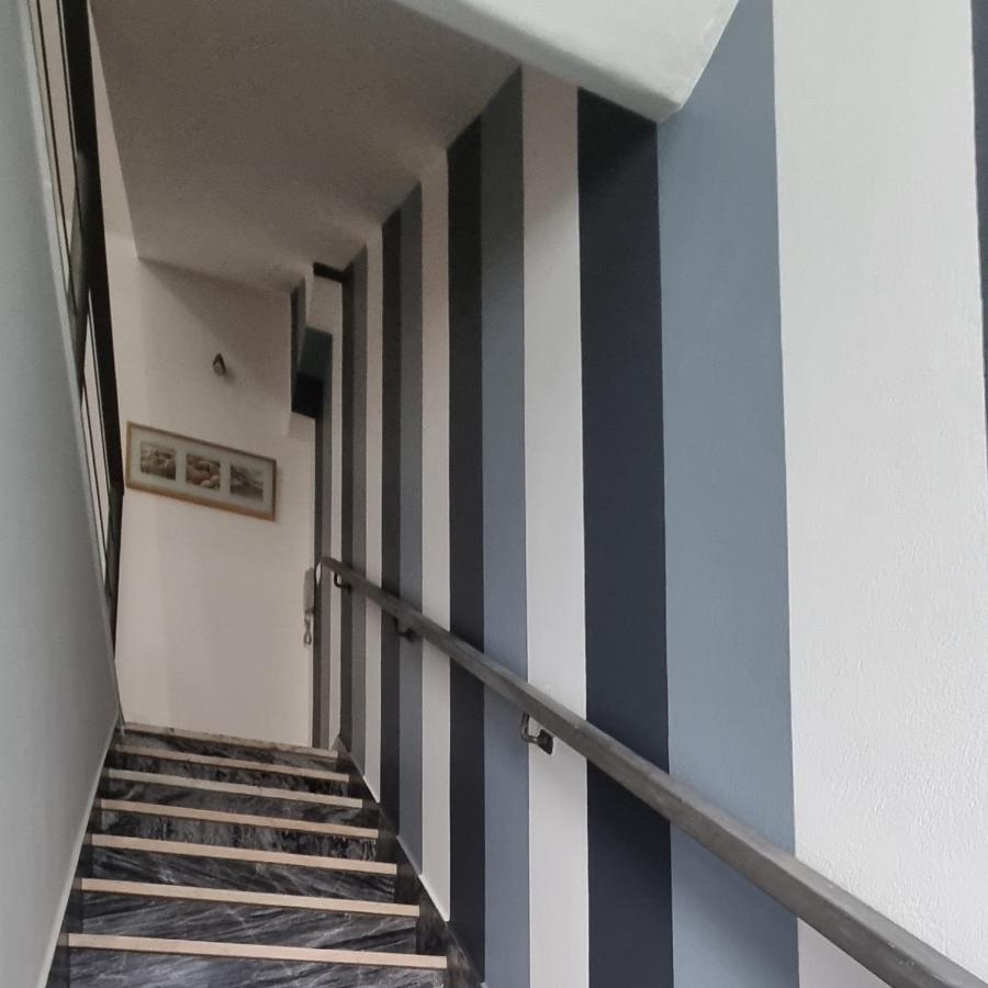 Casa Da Rua Da Fonte Villa Ferreira Do Alentejo Dış mekan fotoğraf